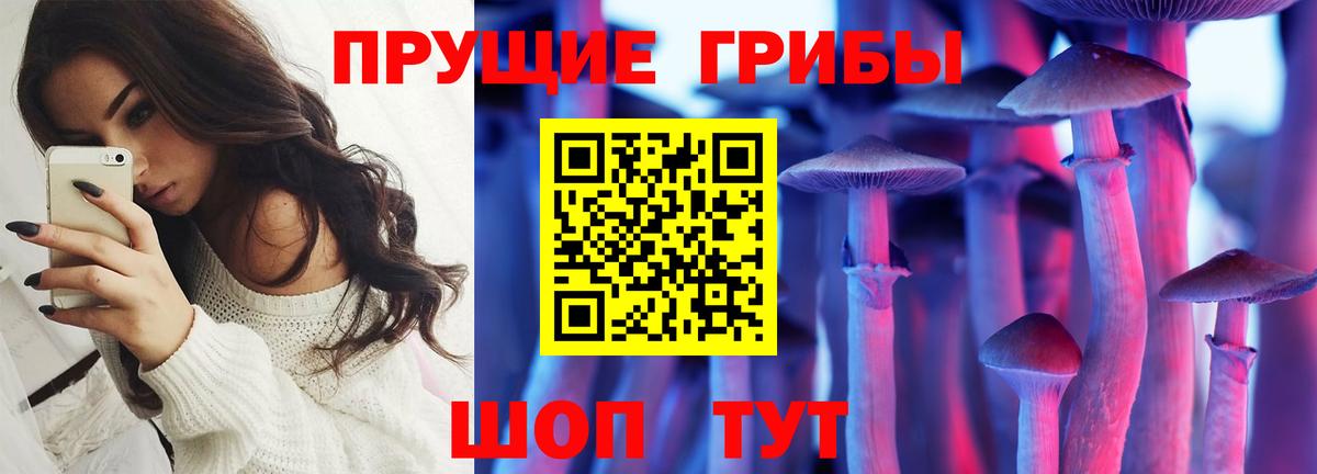 купить наркотики цена  Галлюциногенные грибы Magic Shrooms  Вход с VPN  Новоалтайск 